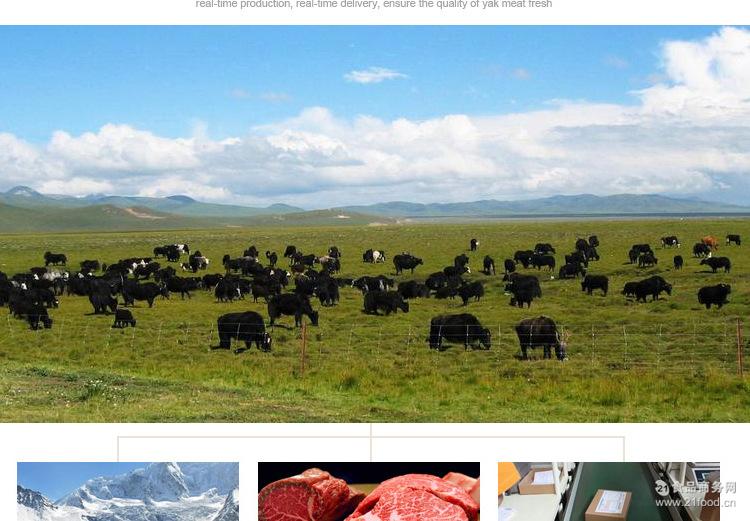 工厂西藏特产零食休闲食品98g香辣手撕礼品超级风干牦牛肉干批发价格 肉类零食-食品商务网