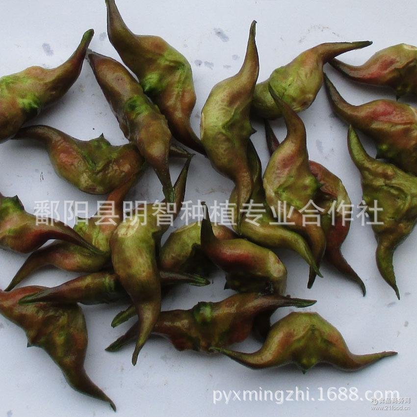农牧渔类 新鲜水果 猕猴桃 > 两角青大号菱角 大量上市价格