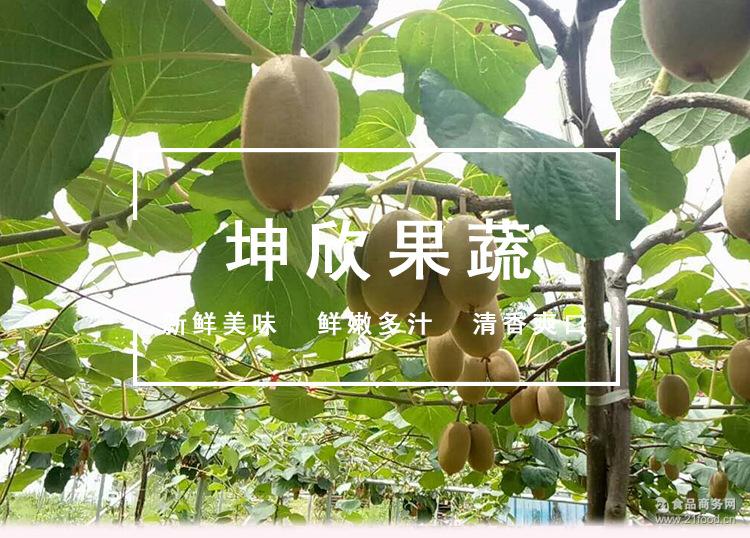 大中小果农家 陕西特产 陕西新鲜水果黄心猕猴