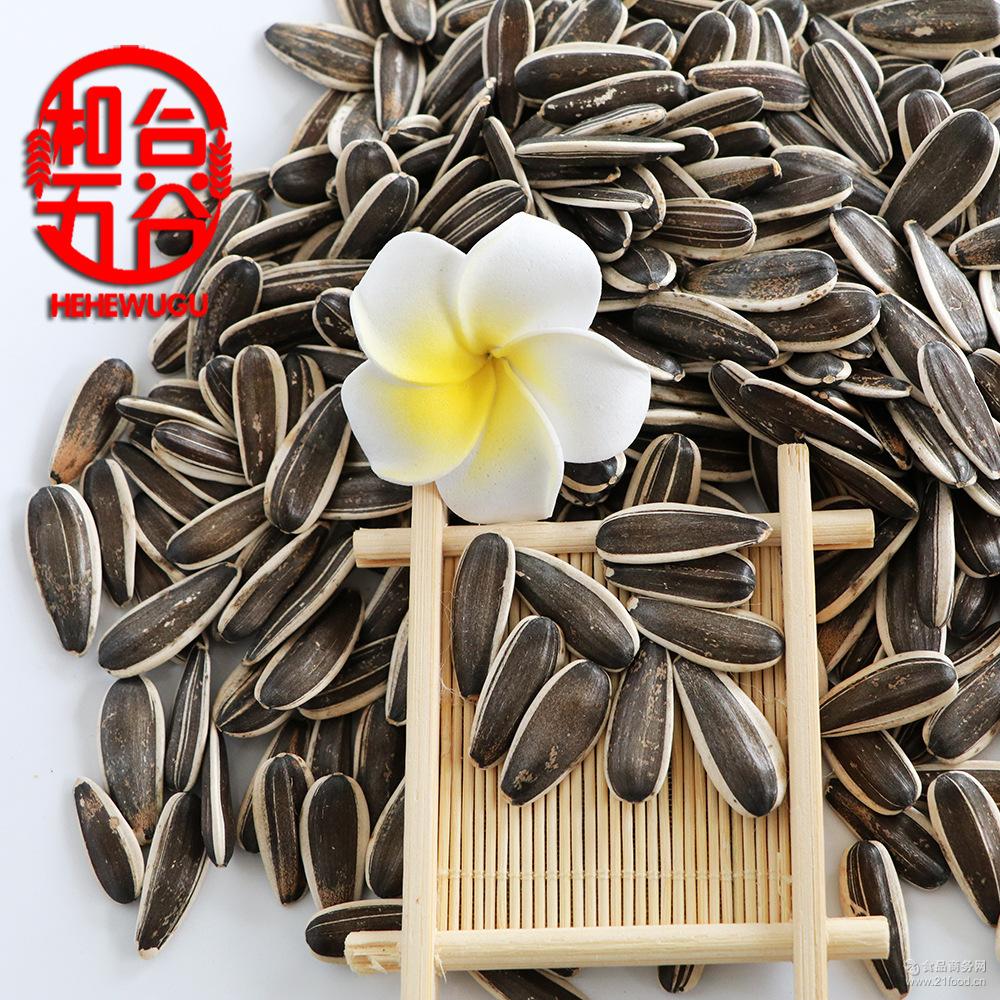 瓜果干价格,型号,图片-食品商务网