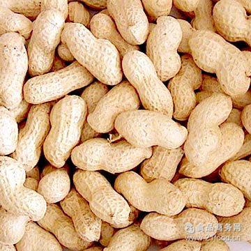 鲁花花生果 山东产 供应高品质有机非转基因水洗海花花生果
