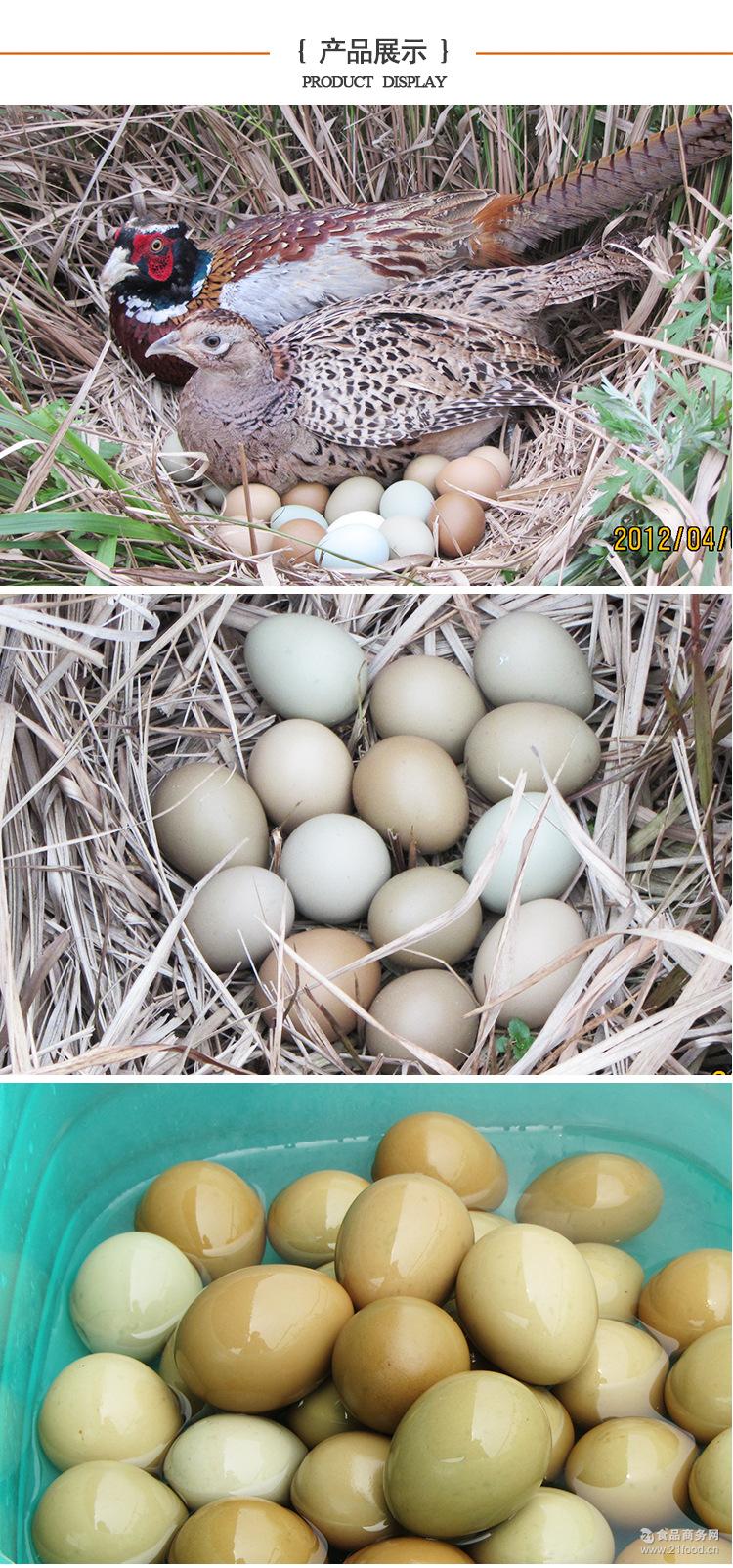 纯正宗七彩野鸡蛋批发 新鲜野鸡蛋生态散养野山鸡蛋供应批发