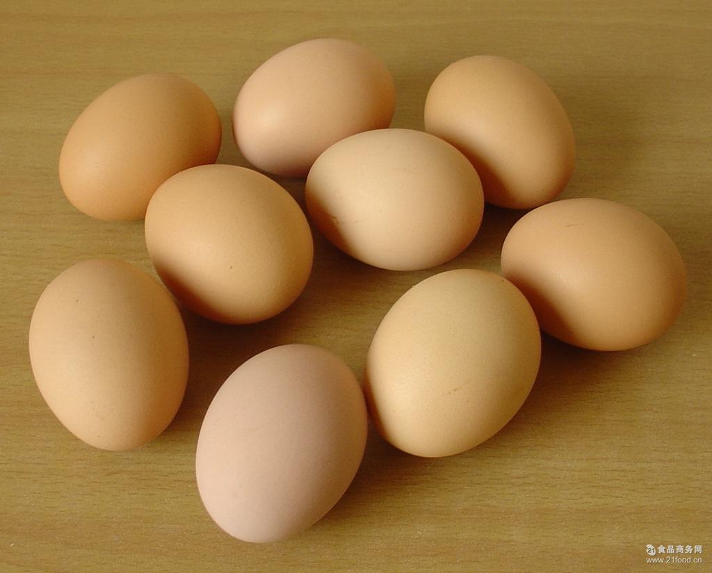 商品蛋 鸡蛋 常年供应北京油鸡蛋批发价格 鲜鸡蛋