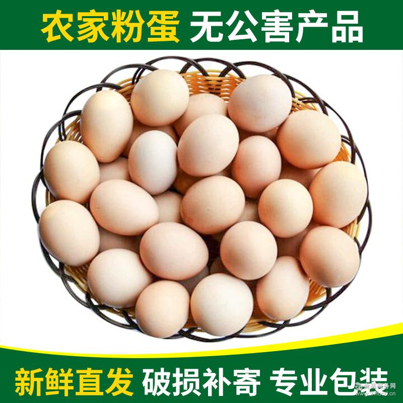 粉壳蛋 白粉壳鸡蛋批发 放养土鸡蛋粉壳蛋 直供蛋鸡蛋新鲜粉壳蛋
