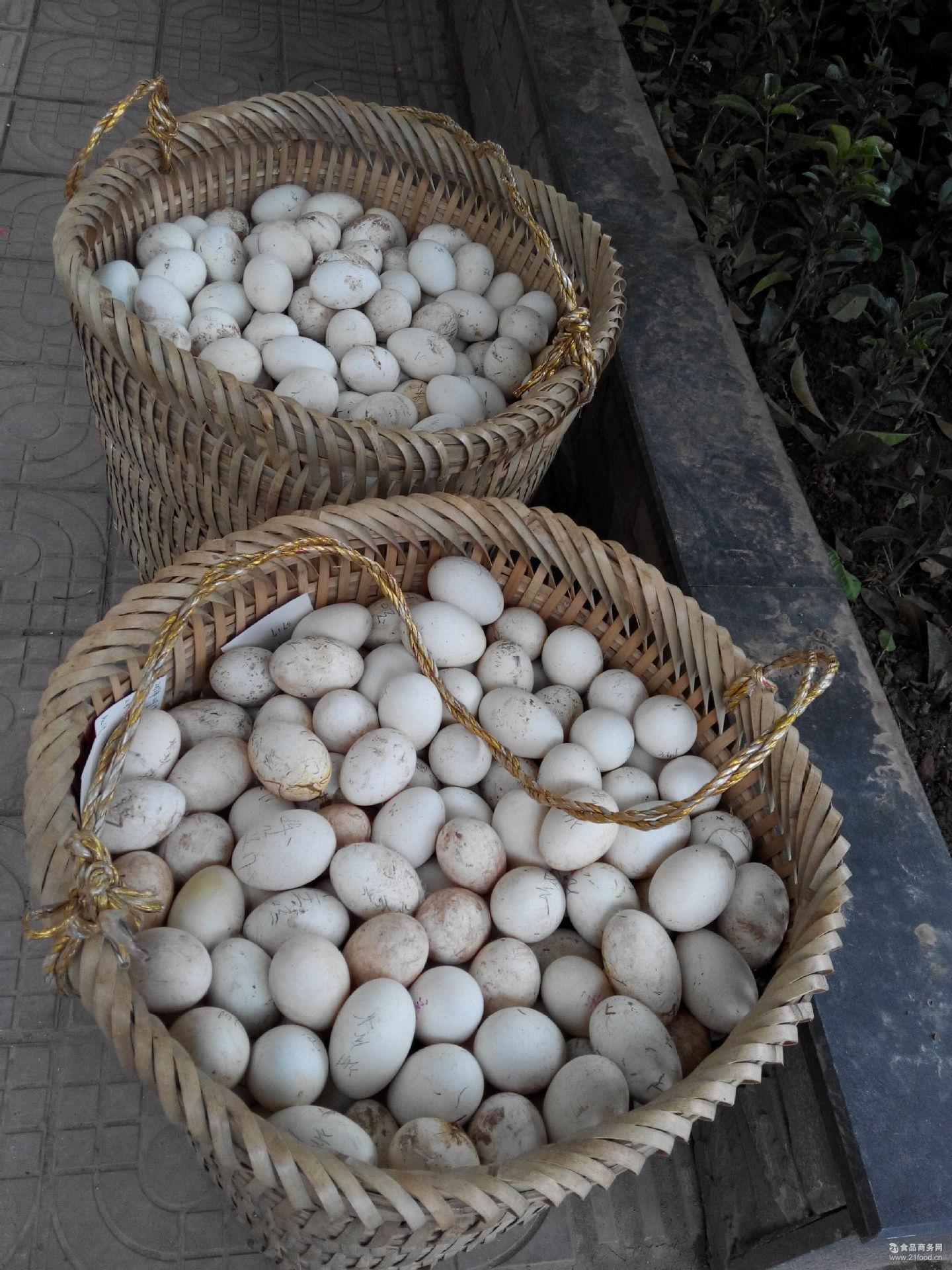 平优质新鲜绿色农家生态绿壳鸡蛋喜蛋宝贝蛋礼