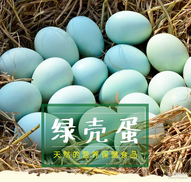 厂家直销湖南特产天然生态散养绿壳蛋 食用绿