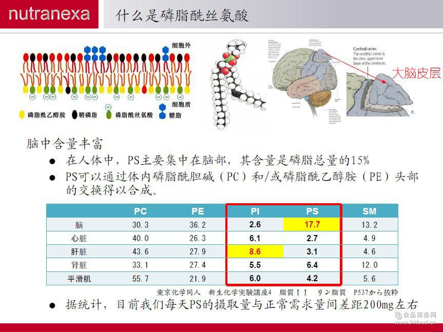 磷脂酰丝氨酸ps50% 厂家直销 大豆提取物 菽氏 山东佰