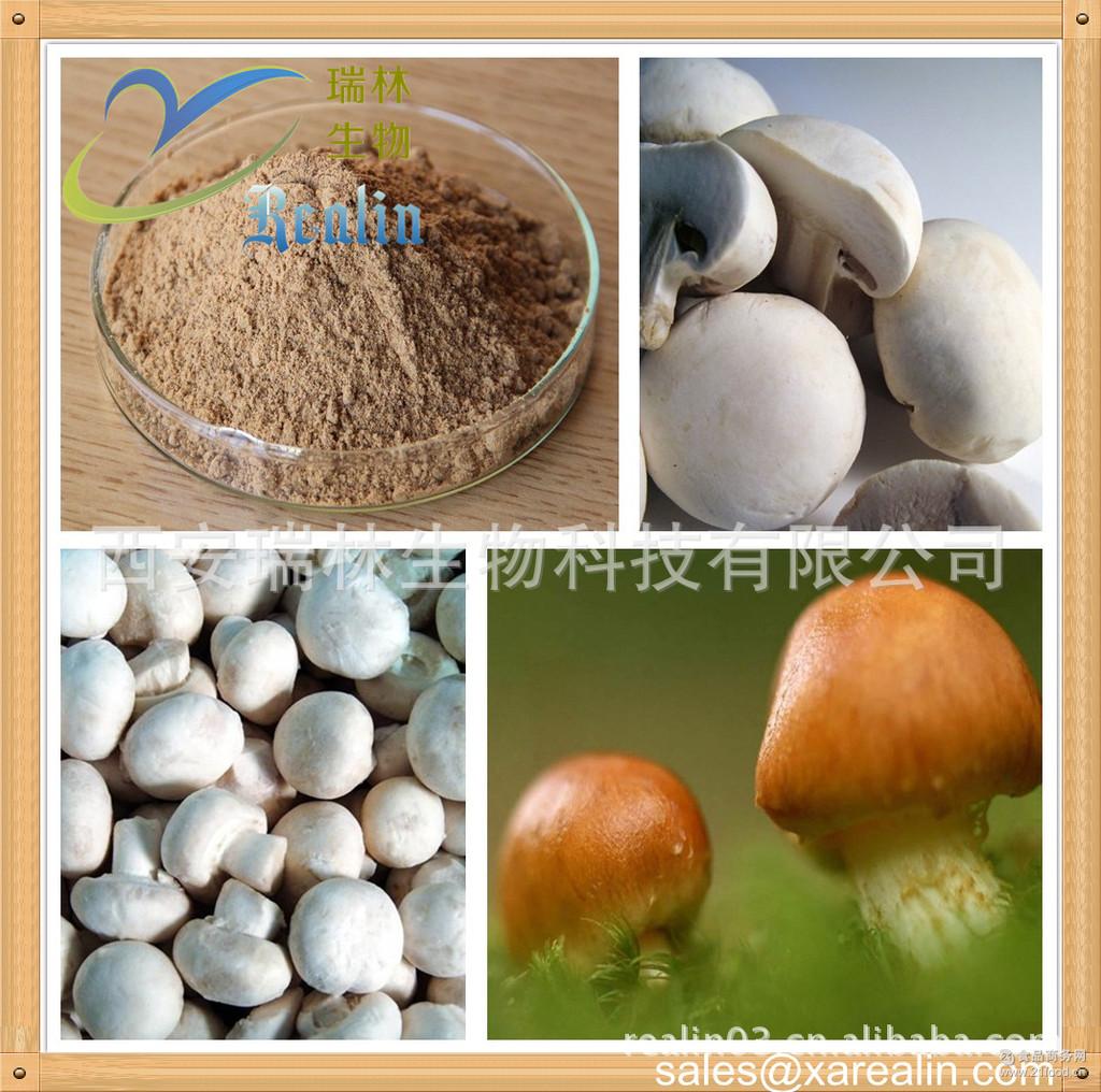 质优价廉 双孢菇多糖含量20% 现货直销 双孢菇提取物