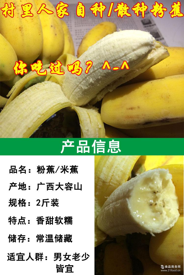 新鲜水果现摘粉蕉小米蕉芭蕉香蕉海南皇帝蕉无