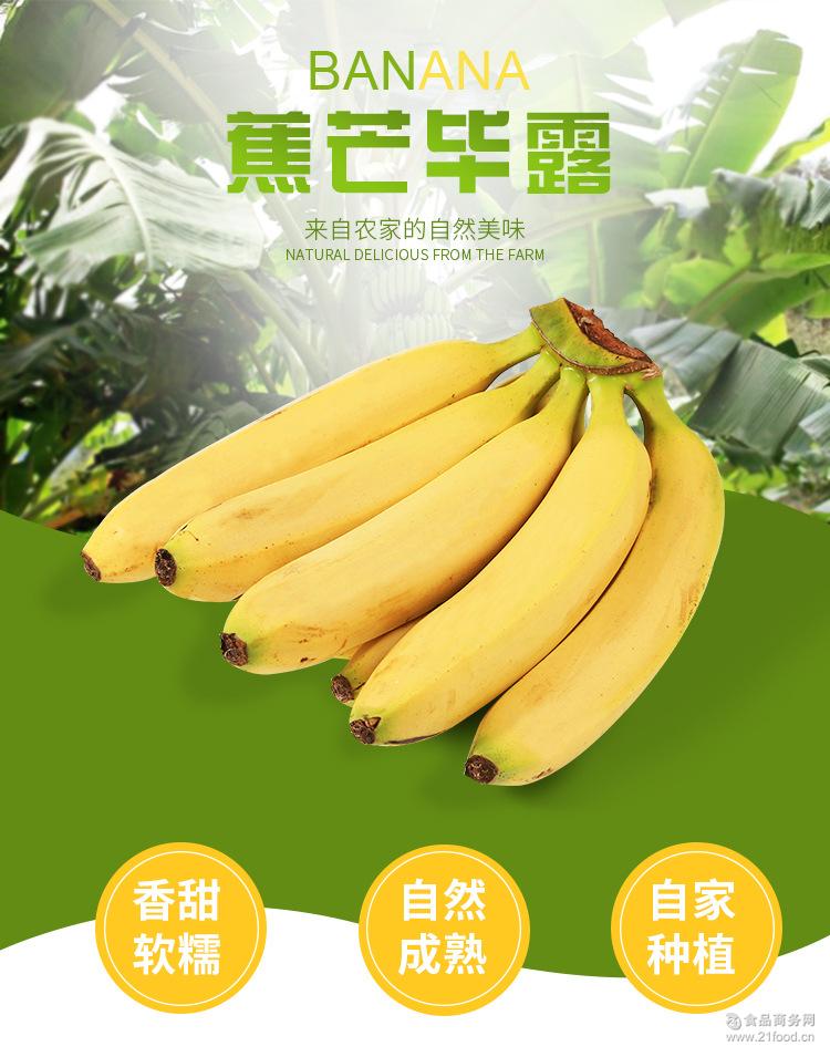 新鲜水果箱装10公斤香蕉果农现摘现发