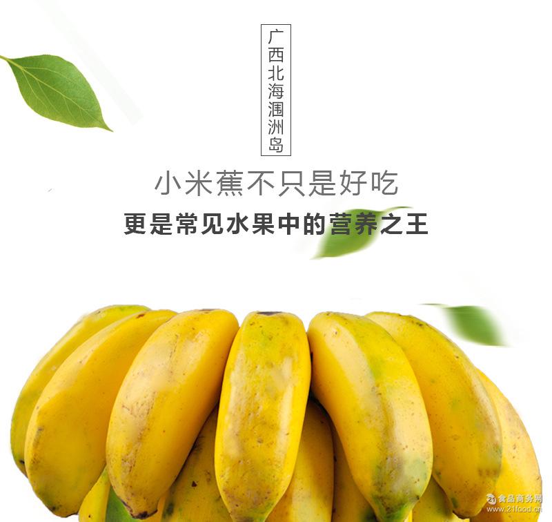 热带水果帝王蕉批发 供应广西涠洲岛新鲜应季