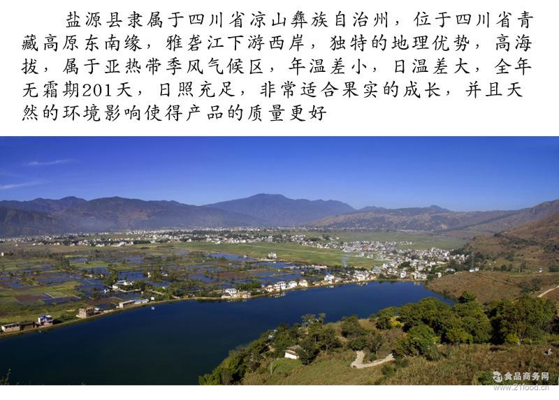 四川凉山盐源县地震 四川凉山盐源县医保中心电话