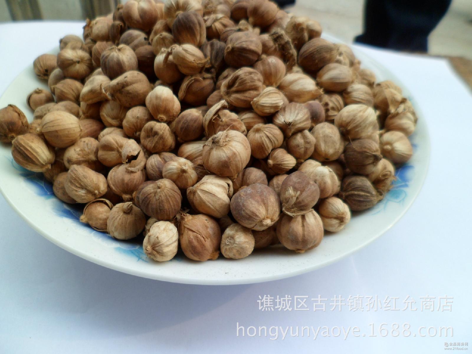 量大从优 白豆蔻 白肉蔻 批发香料 白寇 白叩
