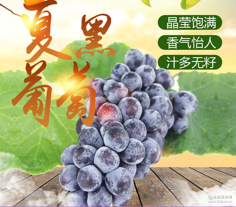 新鲜水果现摘现发四川特色夏黑葡萄产地直销量