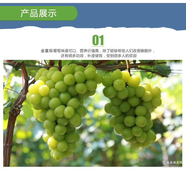 新鲜葡萄礼盒装4斤/盒 金皇后葡萄批发爽口多汁 四川省内顺丰包邮