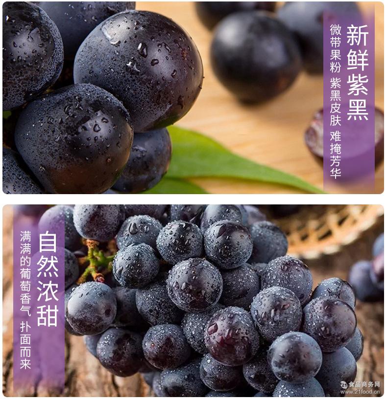 新鲜水果巨峰夏黑葡萄孕妇水果黑提现摘黑加仑
