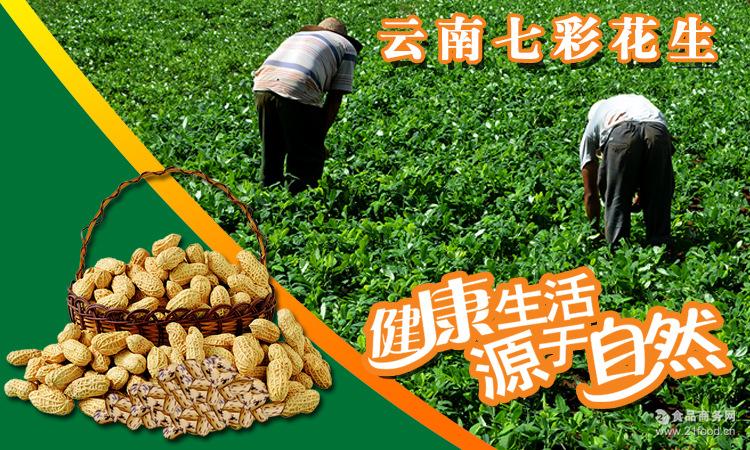云南特产野生七彩花生非转基因水果花生口感超好清甜清香营养高