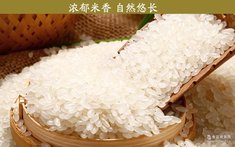 稻花香米 黑龙江大米 厂家批发 长粒香米 鸡林稻长粒香米50斤装