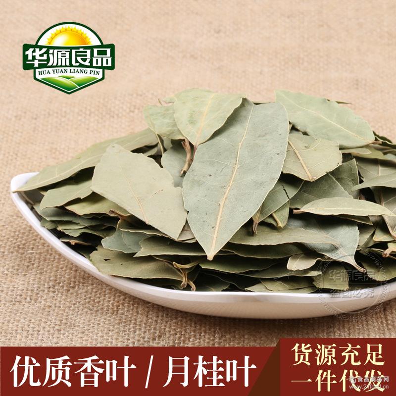 批发优质香叶调味品月桂叶中药材火锅底料卤水冒菜腌制料量大从优