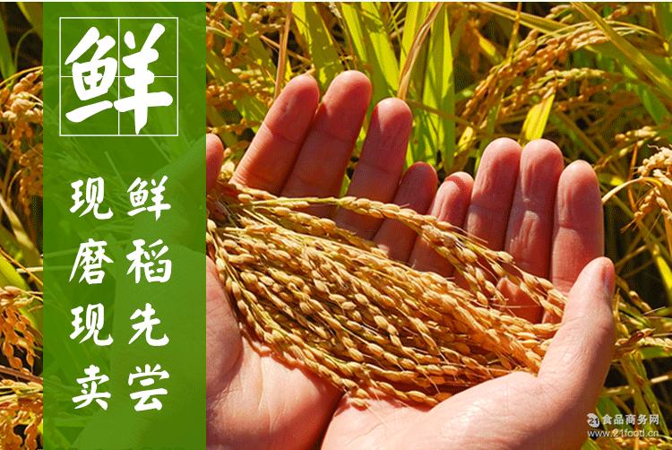2016年新米森稻福东北大米五常长粒香大米鲜