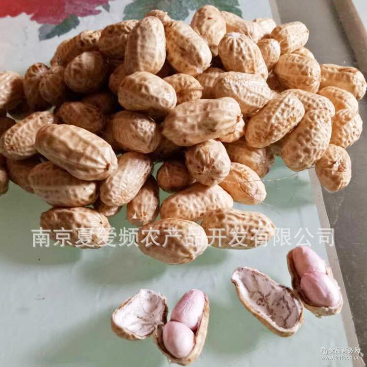food13551901013035Hg.jpg