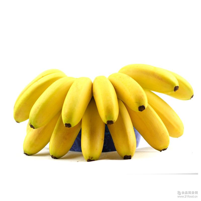 野生野香蕉批发价格@广西梧州 野香蕉 香蕉