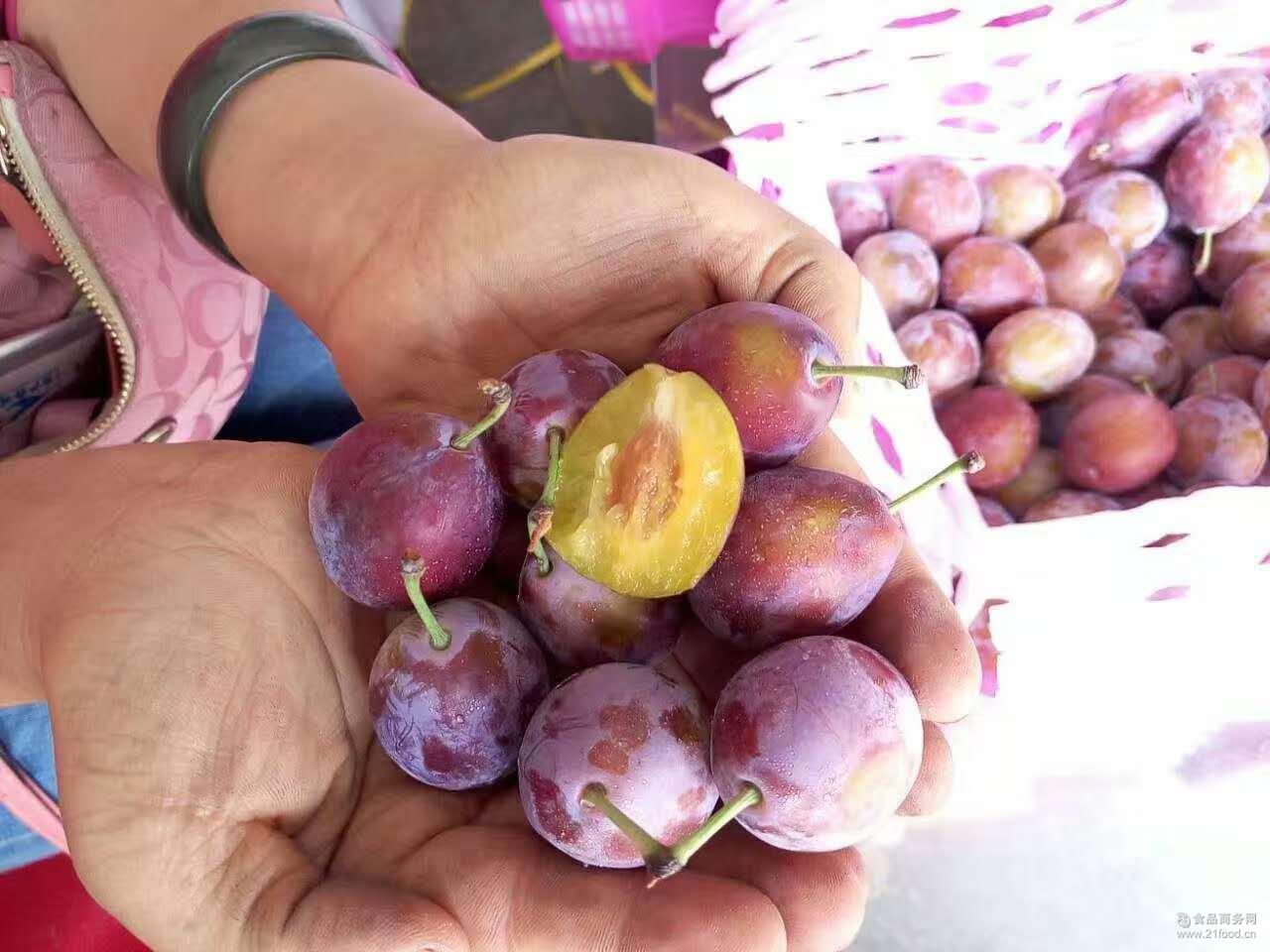 新疆的水果是糖做的吧 就爱吃新疆水果，你呢？_手机新浪网