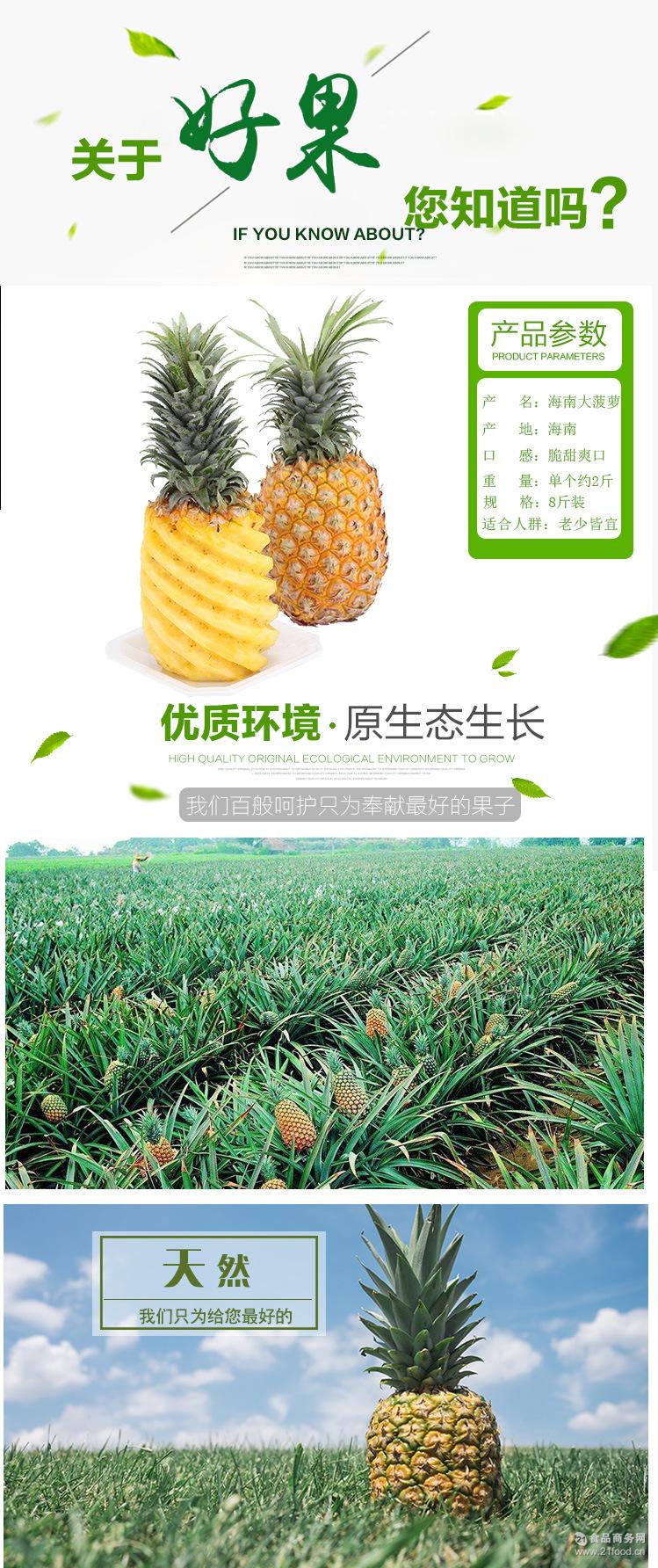 用途: 包装物品 ; 外文名: carton ; 拼音: zhixiang ; 菠萝 二名法