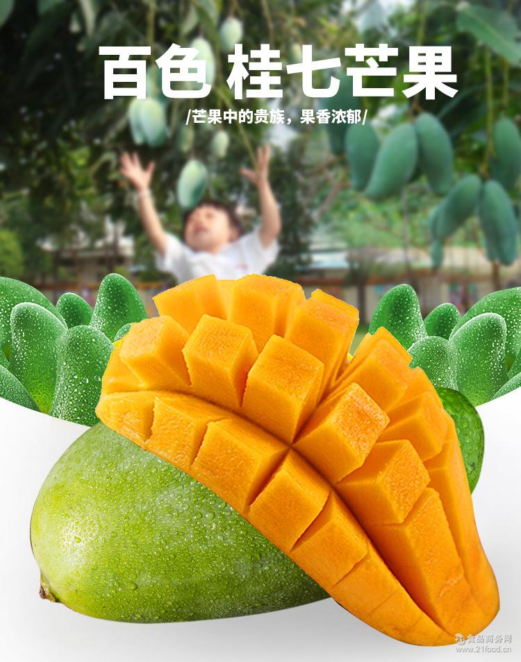 现摘现发水果非台农贵妃5斤 一件代发百色桂七芒果 新鲜大青芒果