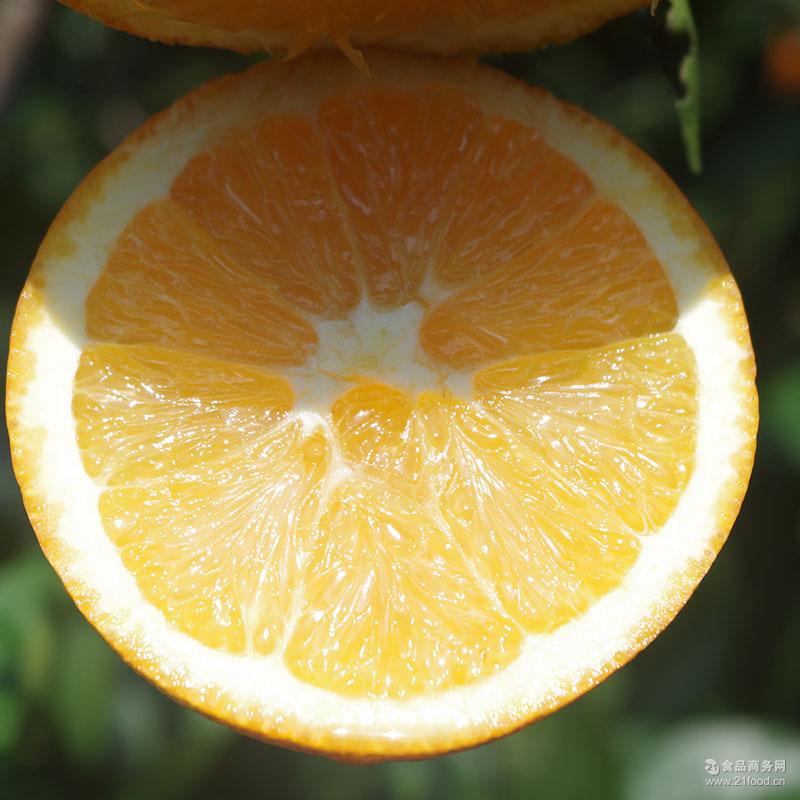 预售秭归脐橙橙子纽荷尔脐橙长红圆红脐橙5斤
