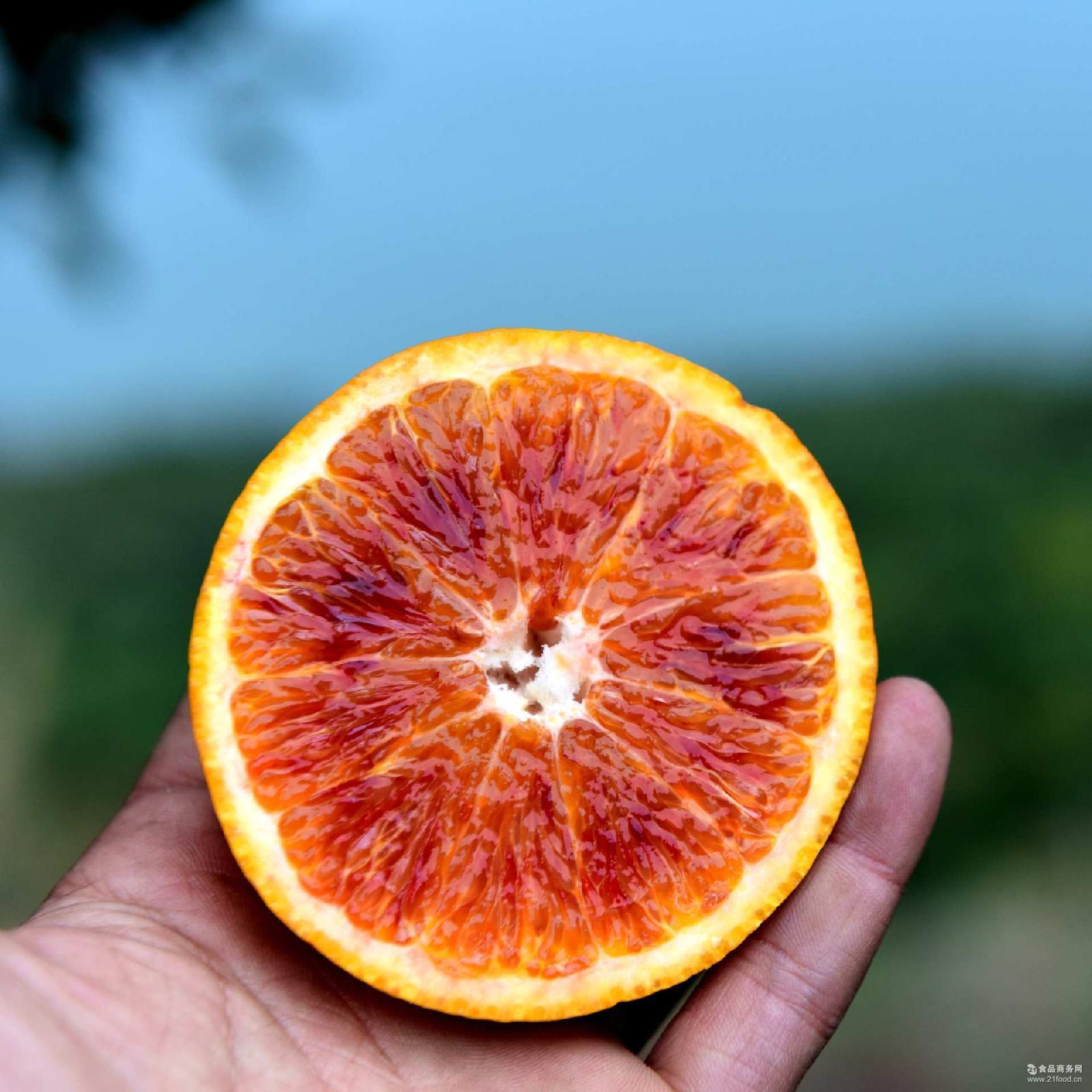 秭归血橙塔罗科中通9斤包邮天然新鲜水果果园