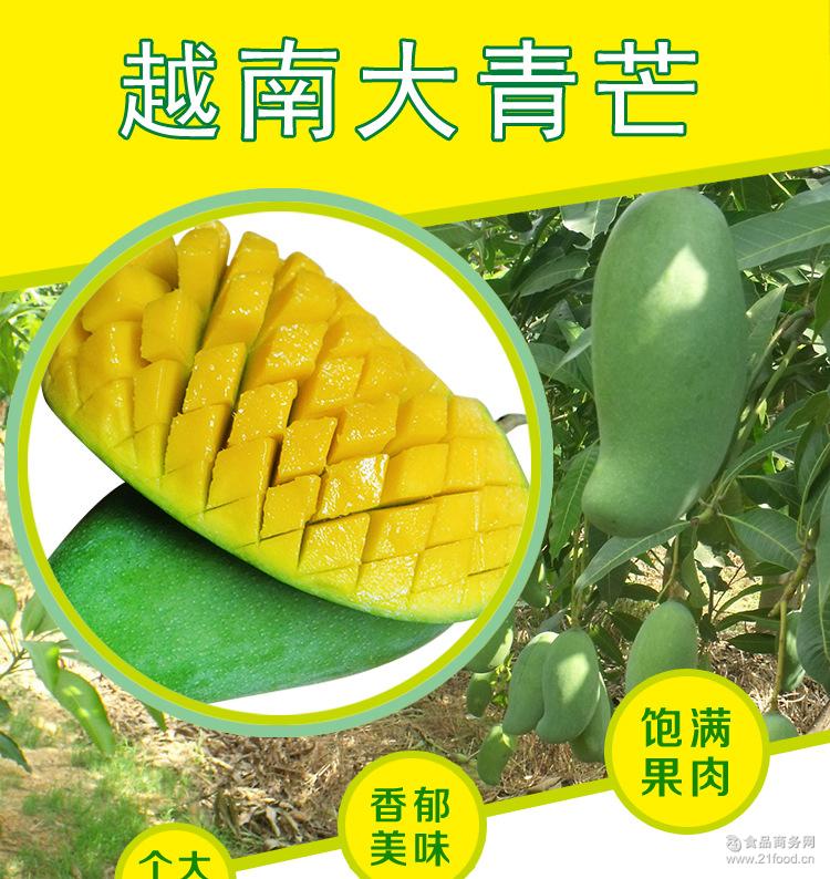 上海批发越南柬埔寨泰国进口新鲜水果芒果5斤