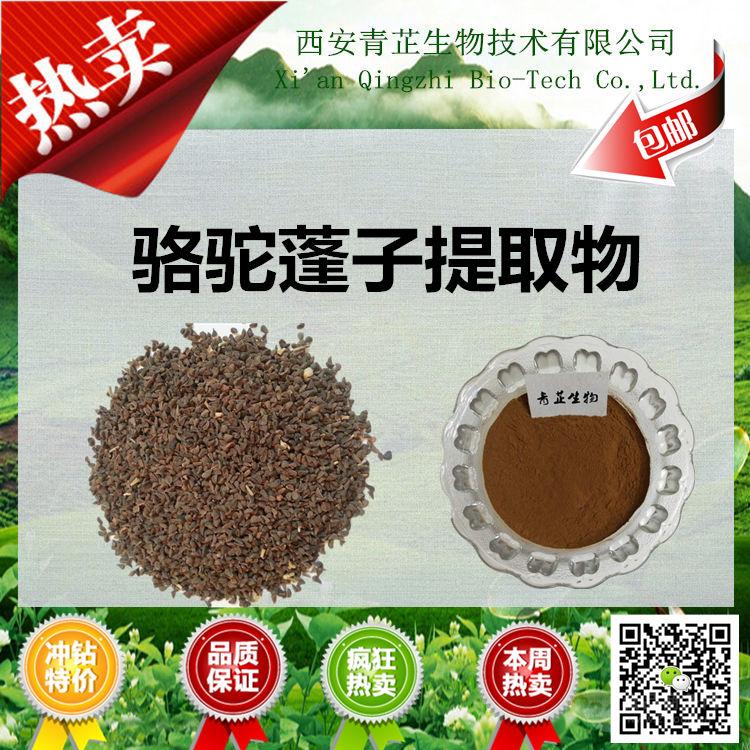 骆驼蓬子提取物厂家 骆驼蓬子提取物批发