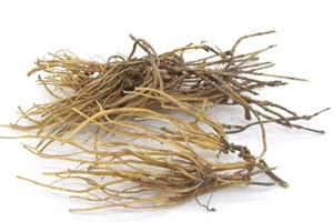 龙胆根浸膏龙胆根流浸膏龙胆根提取物
