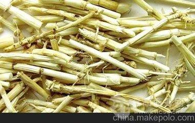 芦根提取物 喷雾干燥 比例提取 oem 代加工