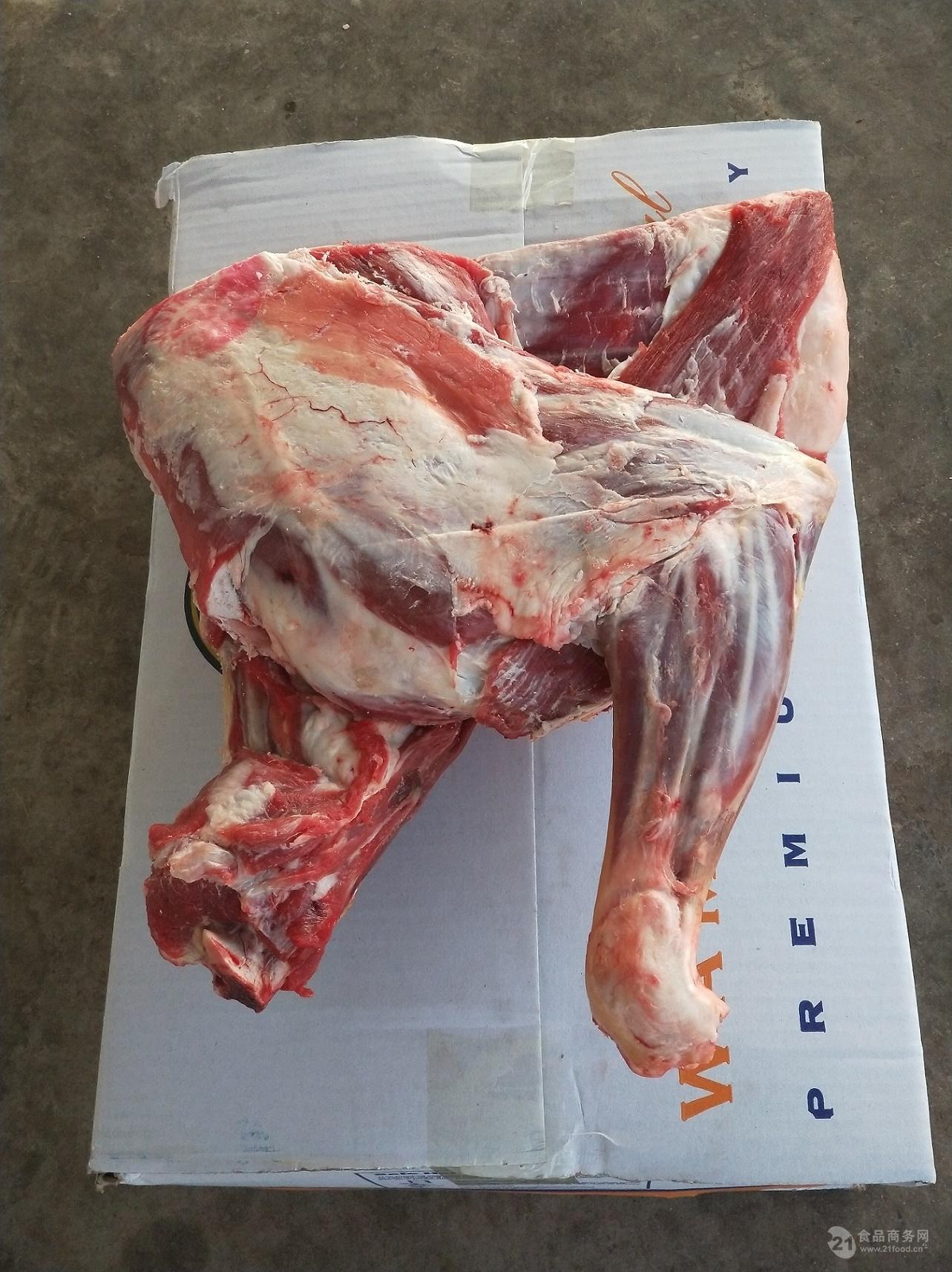 澳大利亚572厂绵羊前四分体 绵羊方切羊肩