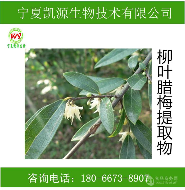 柳叶腊梅浓缩粉 柳叶腊梅速溶粉厂家批发图片