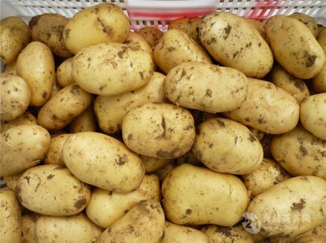 现在荷兰土豆多少钱一斤?今日荷兰土豆批发价