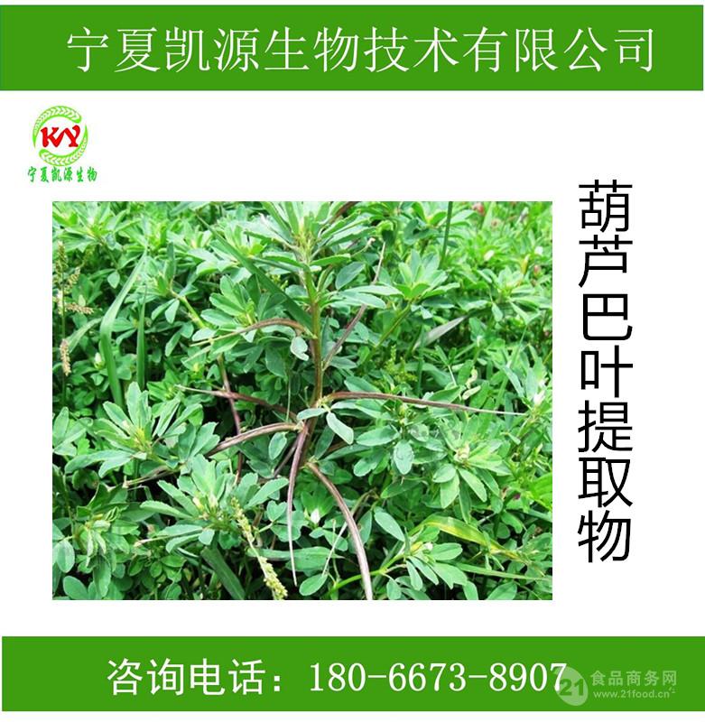 葫芦巴叶速溶粉葫芦巴叶浓缩粉批发