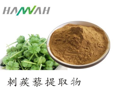 刺蒺藜提取物 刺蒺藜皂甙40%-90% 优质原料粉