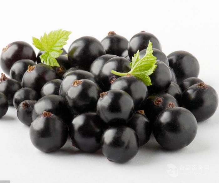 黑加仑果粉4:1黑加仑提取物100%水溶上市公司品质保障