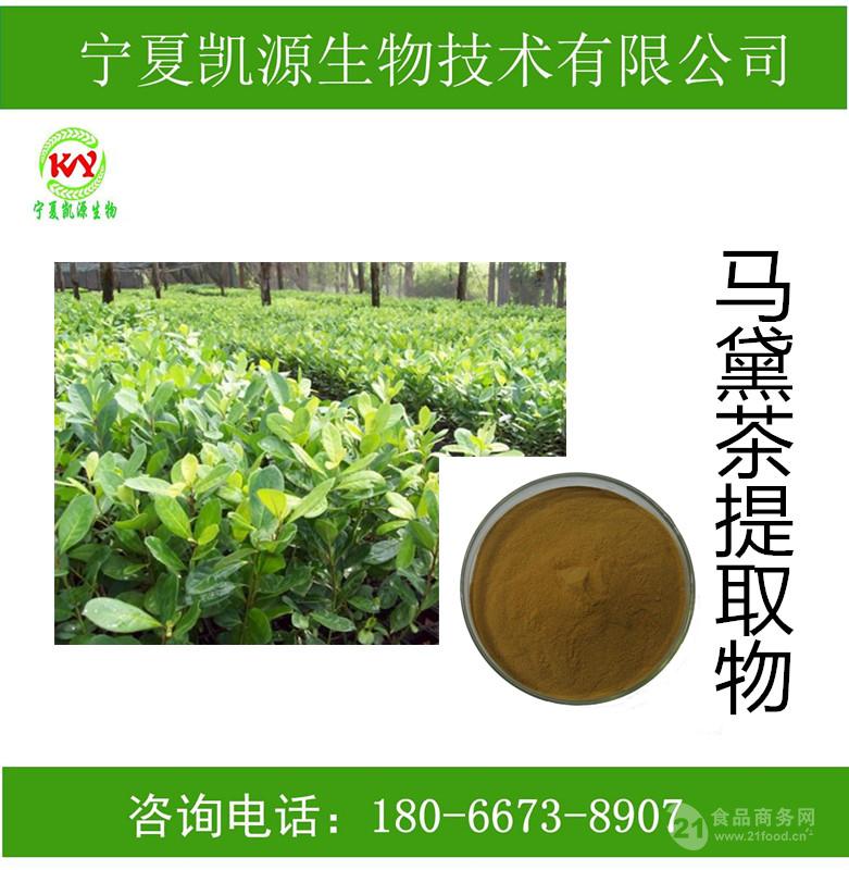 马黛茶提取物 马黛茶粉 批发