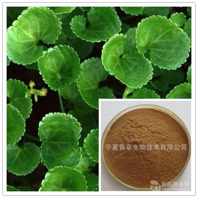 宁夏香草生物技术有限公司