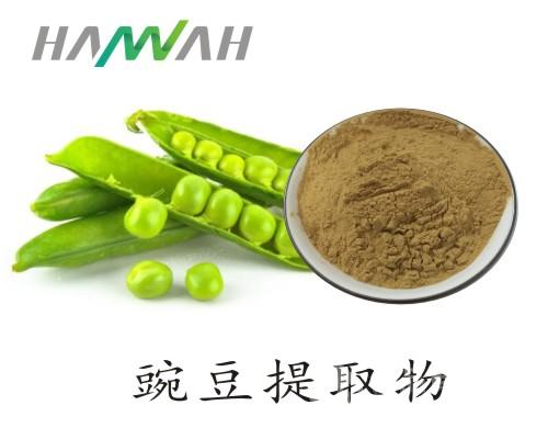 豌豆提取物10:1 豌豆粉 豌豆肽 多种规格