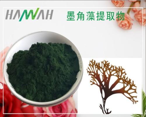 墨角藻提取物101比例墨角藻粉全水溶量大优惠