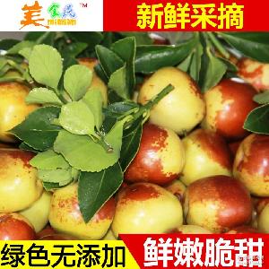 味美甘甜 正宗冬枣绿色新鲜大冬枣 美食民批发新鲜水果蜜枣