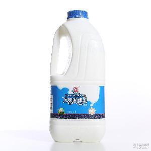 辉山益生菌酸奶乳制品饮品批发 辉山风味发酵乳原味1.2kg大桶酸奶