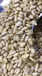 进口干果零食孕妇食品伊朗特级大黑椰枣干10