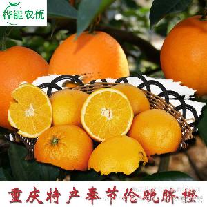 新鲜水果血橙农家种植手 桦能农优 批发 重庆万