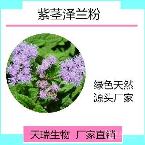 紫茎泽兰提取物  紫茎泽兰粉